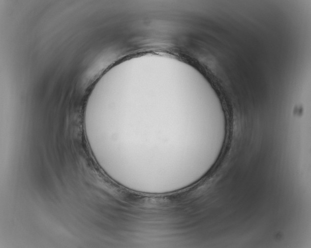 X0000112841354200909111412