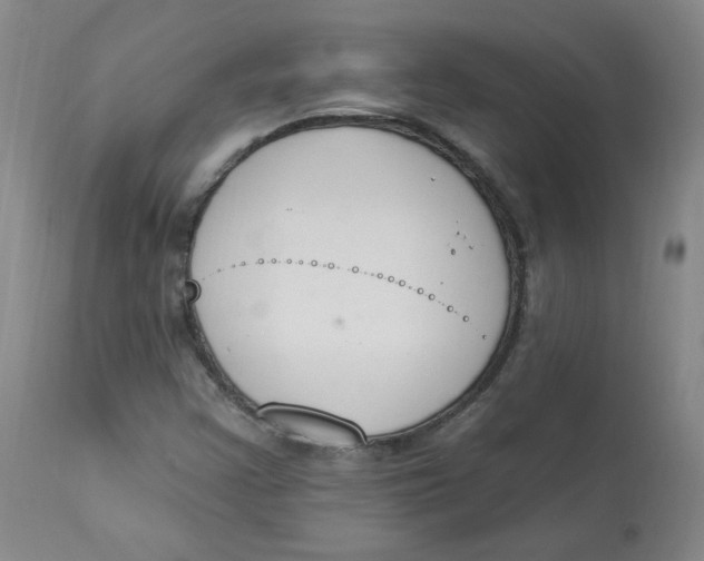 X0000112841355200909111412