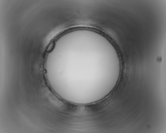 X0000112841360200909111412