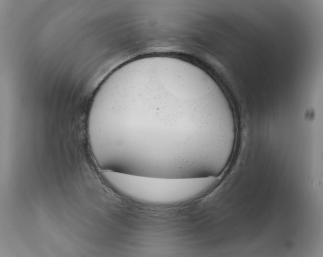 X0000112841361200909111412