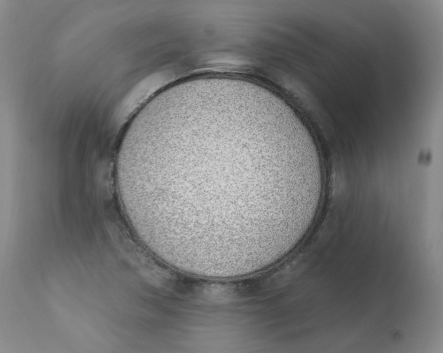 X0000112841362200909111412