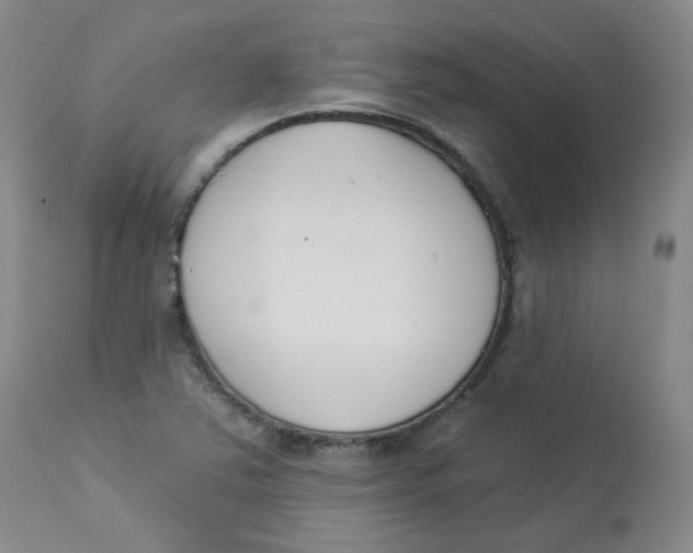 X0000112841363200909111412