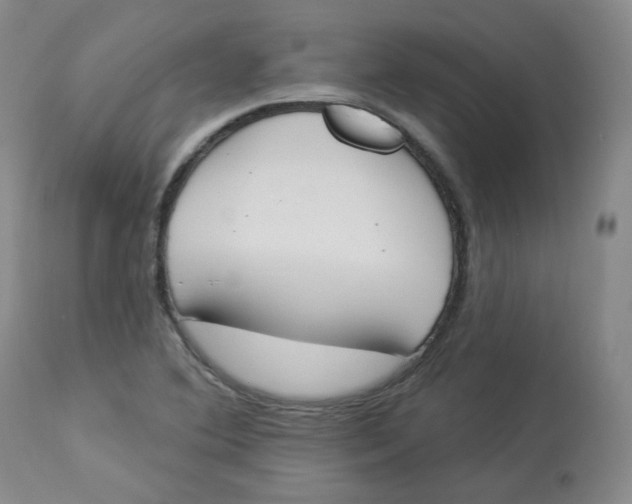 X0000112841364200909111412