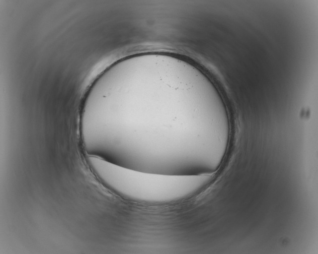 X0000112841365200909111412