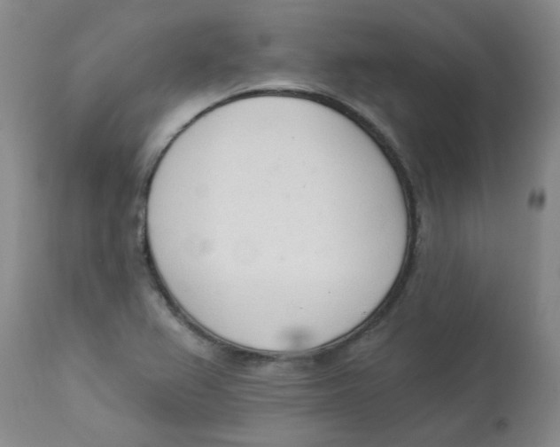 X0000112841367200909111412