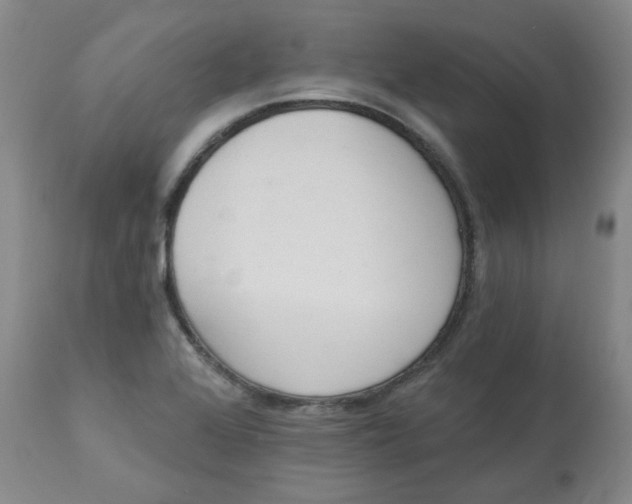 X0000112841368200909111412