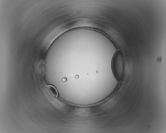 X0000112841369200909111412