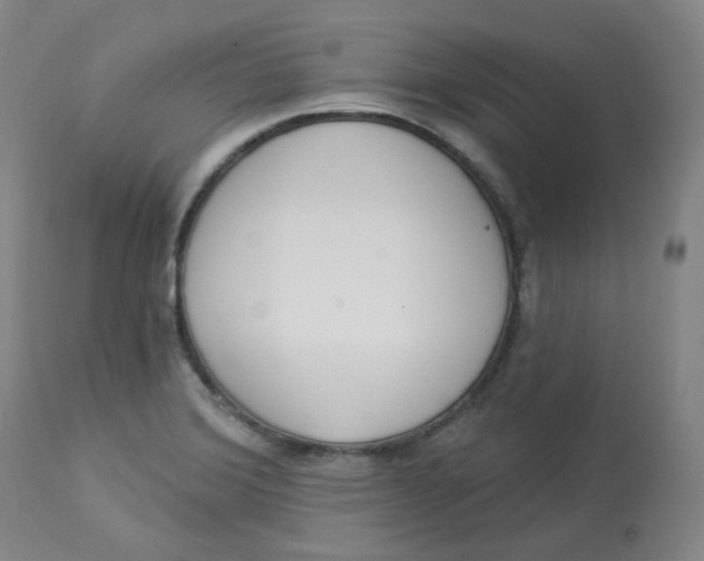 X0000112841372200909111412