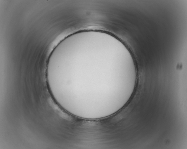 X0000112841374200909111412