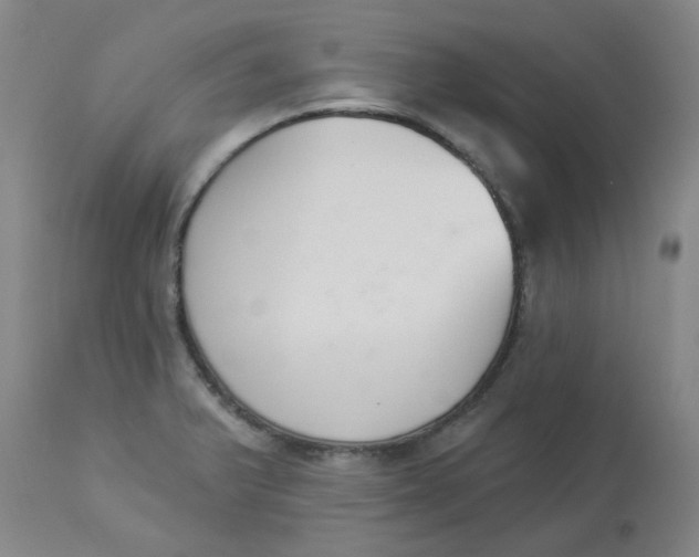 X0000112841375200909111412