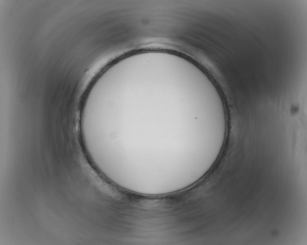 X0000112841376200909111412