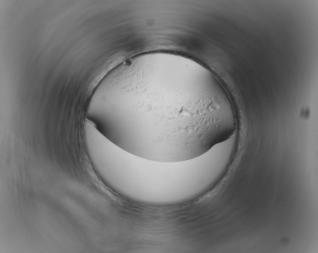 X0000112841377200909111412