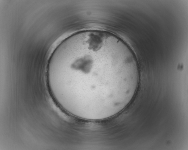 X0000112841379200909111412