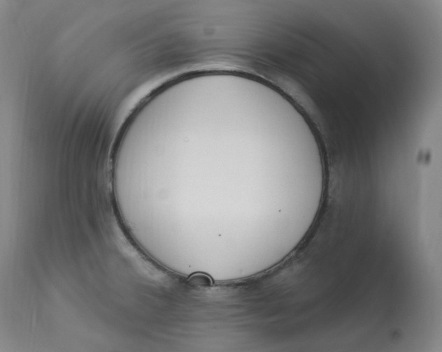 X0000112841380200909111412