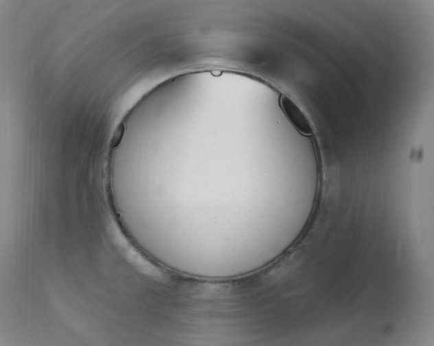 X0000112841381200909111412