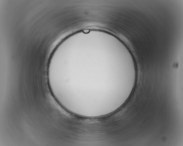 X0000112841384200909111412