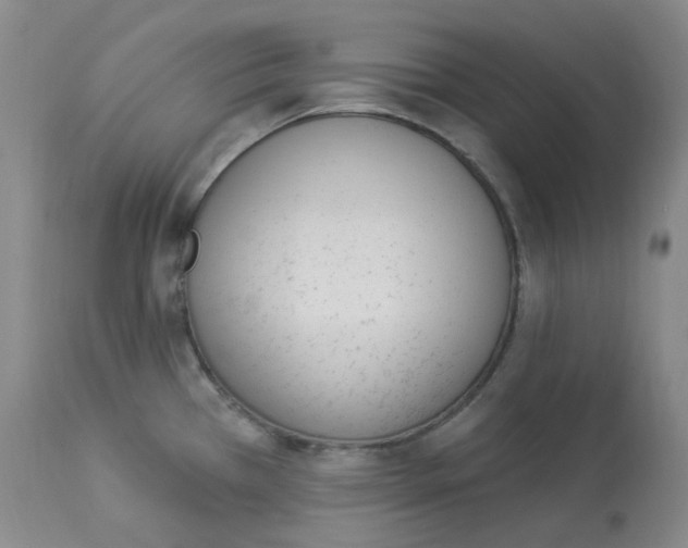 X0000112841385200909111412