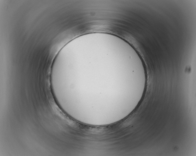 X0000112841386200909111412