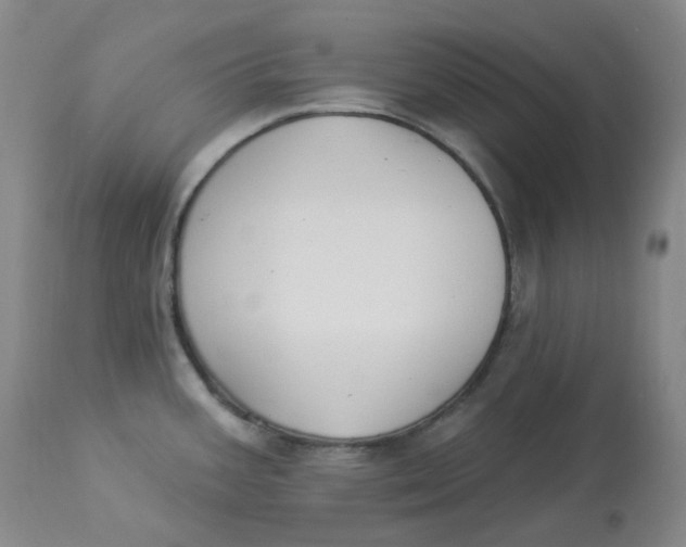 X0000112841387200909111412