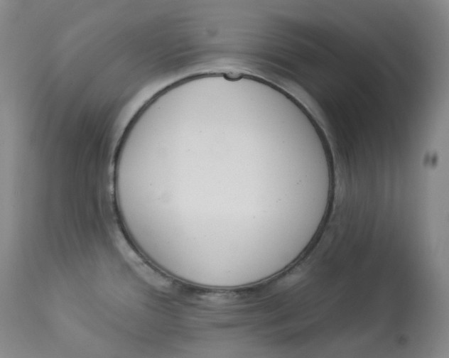 X0000112841388200909111412