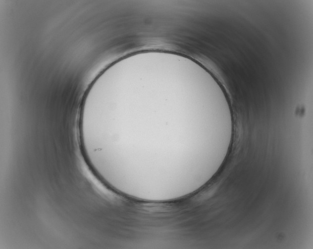 X0000112841391200909111412