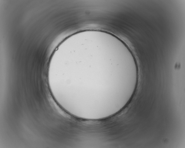 X0000112841392200909111412