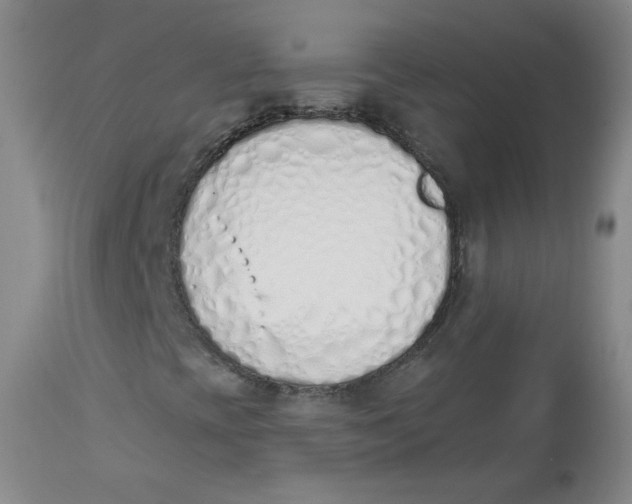 X0000112841393200909111411