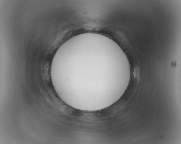 X0000112841396200909111411