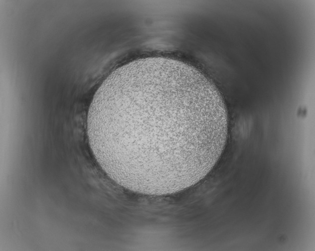 X0000112841397200909111411