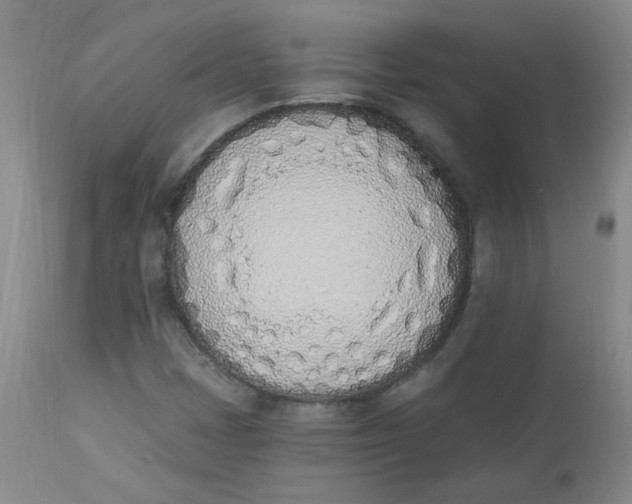 X0000112841401200909111411