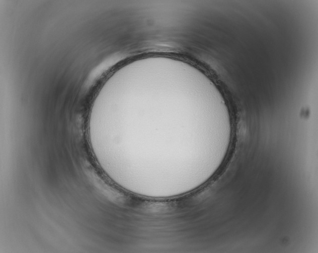 X0000112841402200909111411