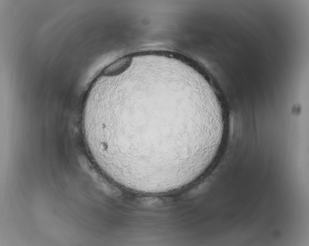 X0000112841405200909111411