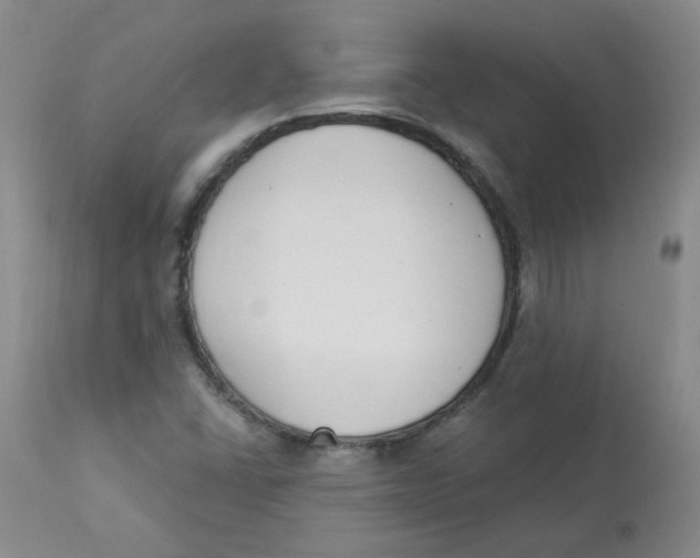 X0000112841406200909111411