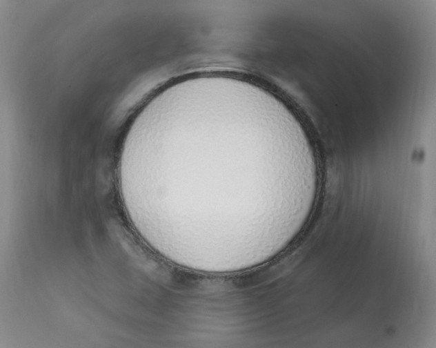 X0000112841407200909111411