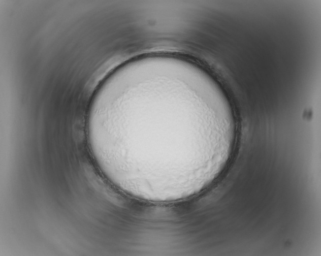 X0000112841409200909111411