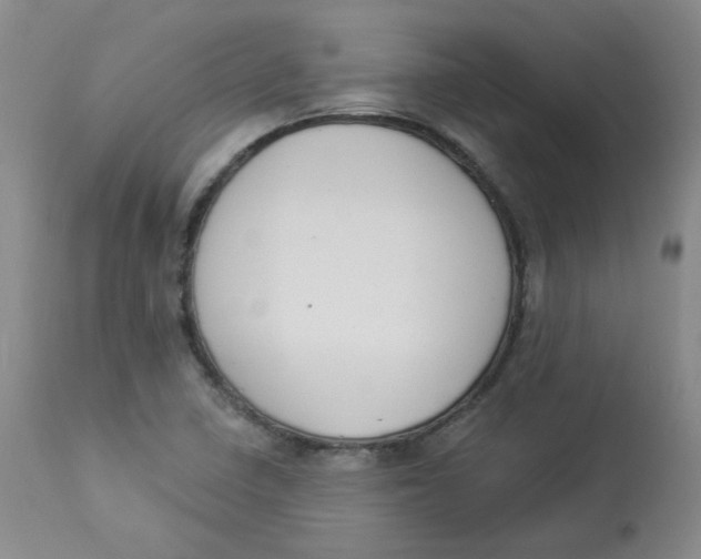 X0000112841410200909111411