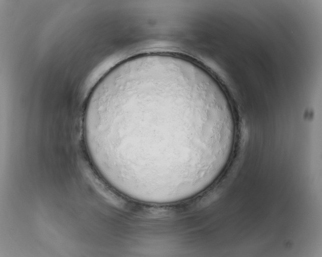 X0000112841413200909111412