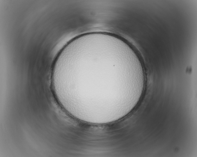 X0000112841415200909111412