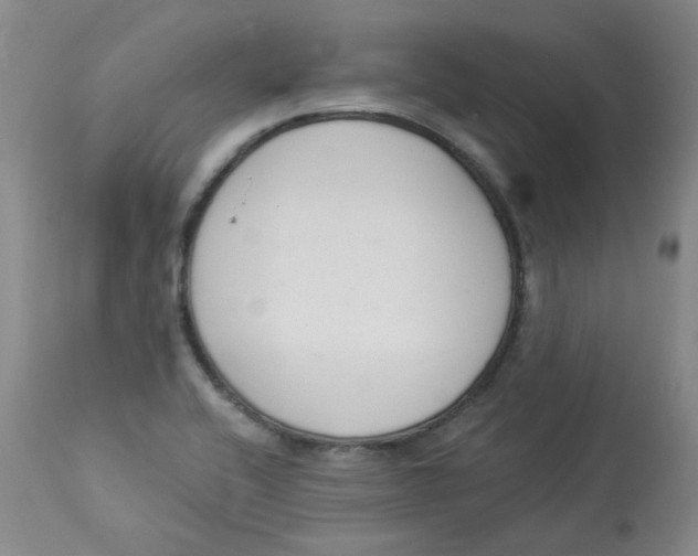 X0000112841416200909111412