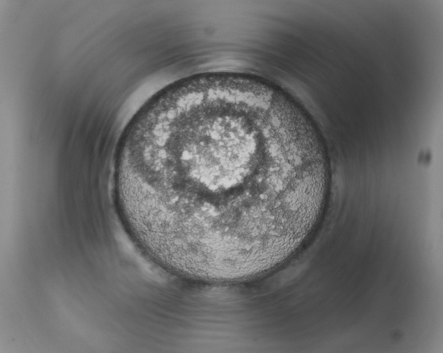 X0000112841418200909111412