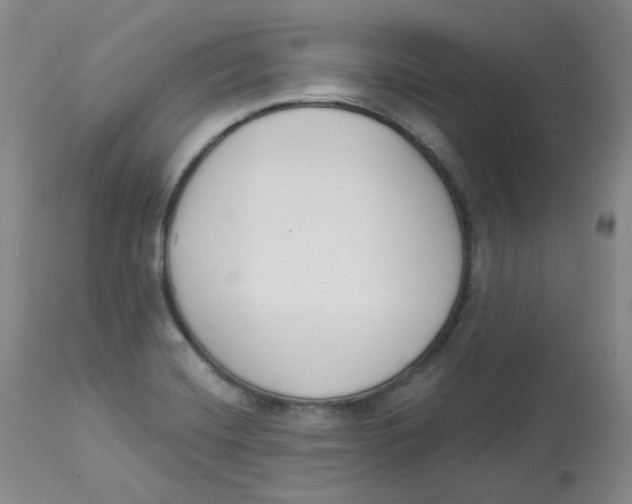 X0000112841420200909111412