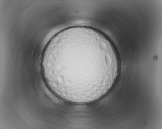 X0000112841421200909111412