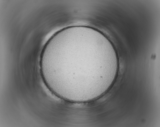 X0000112841422200909111412