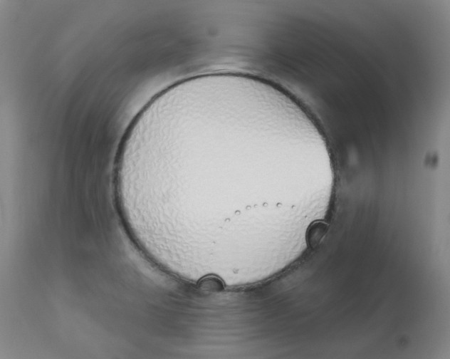 X0000112841423200909111412