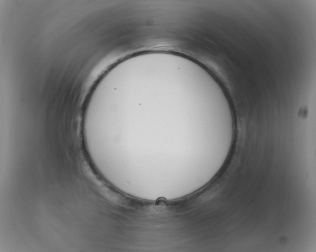 X0000112841424200909111412