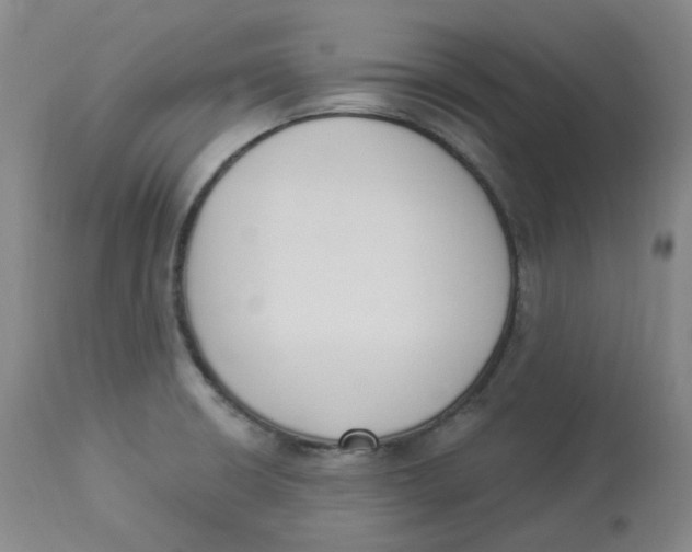 X0000112841426200909111412