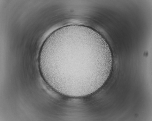 X0000112841427200909111412