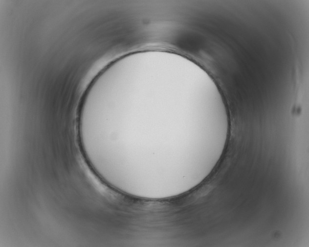 X0000112841430200909111412