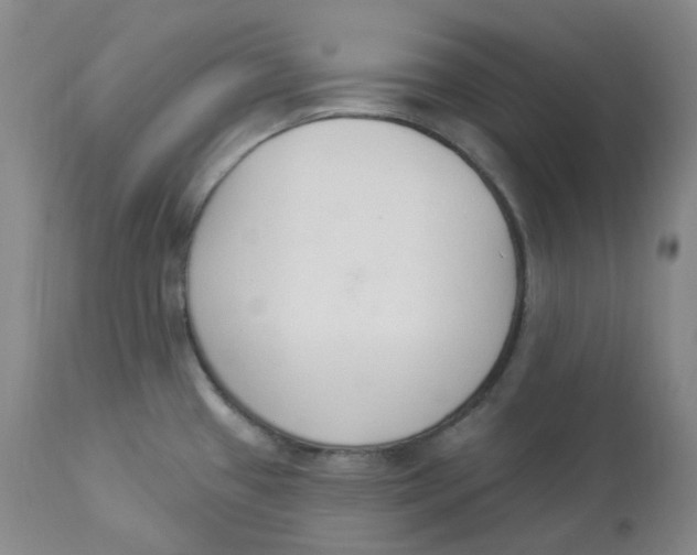 X0000112841433200909111412