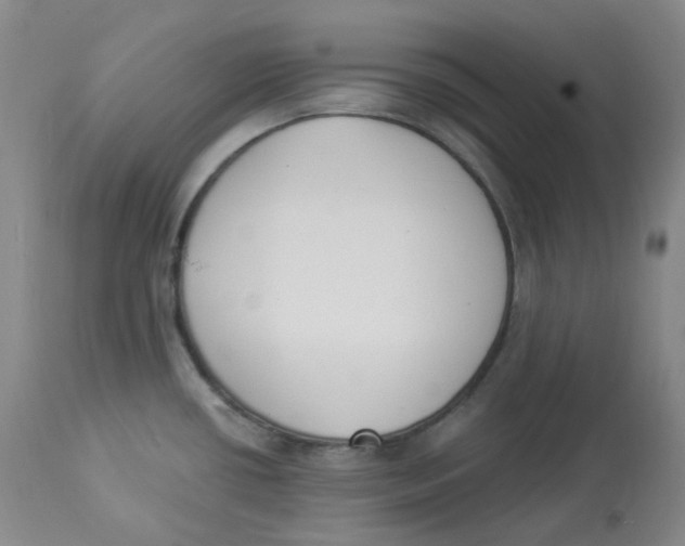 X0000112841434200909111412